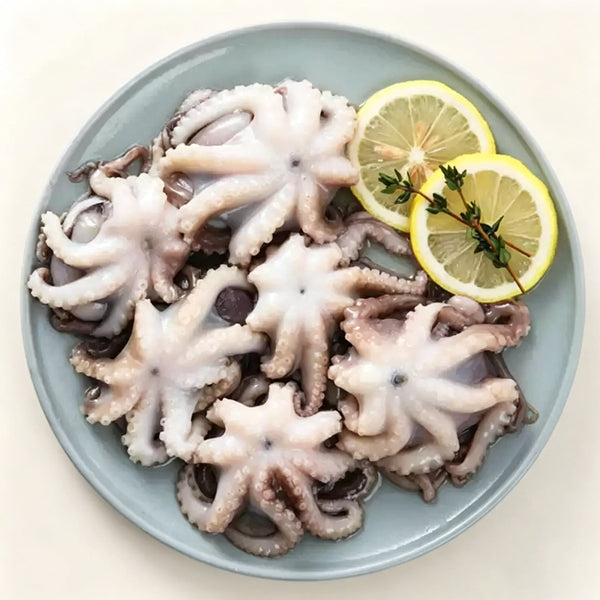 Frozen Baby Octopus