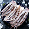 Frozen Cleaned Squid Tubes